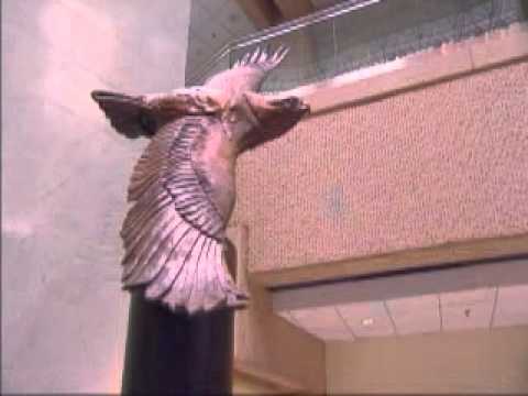 Purple Hearts Reunited