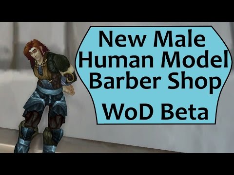 Male Human Model at the Barber Shop in WoD: Warlords of Draenor Beta
