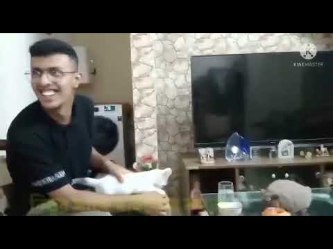 ছোট্টো বিড়ালছানার কসরৎ