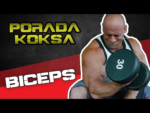 Kulturystyka odżywianie naturalizacja Jak szybko doprowadzić sygnał mięśni pośladków