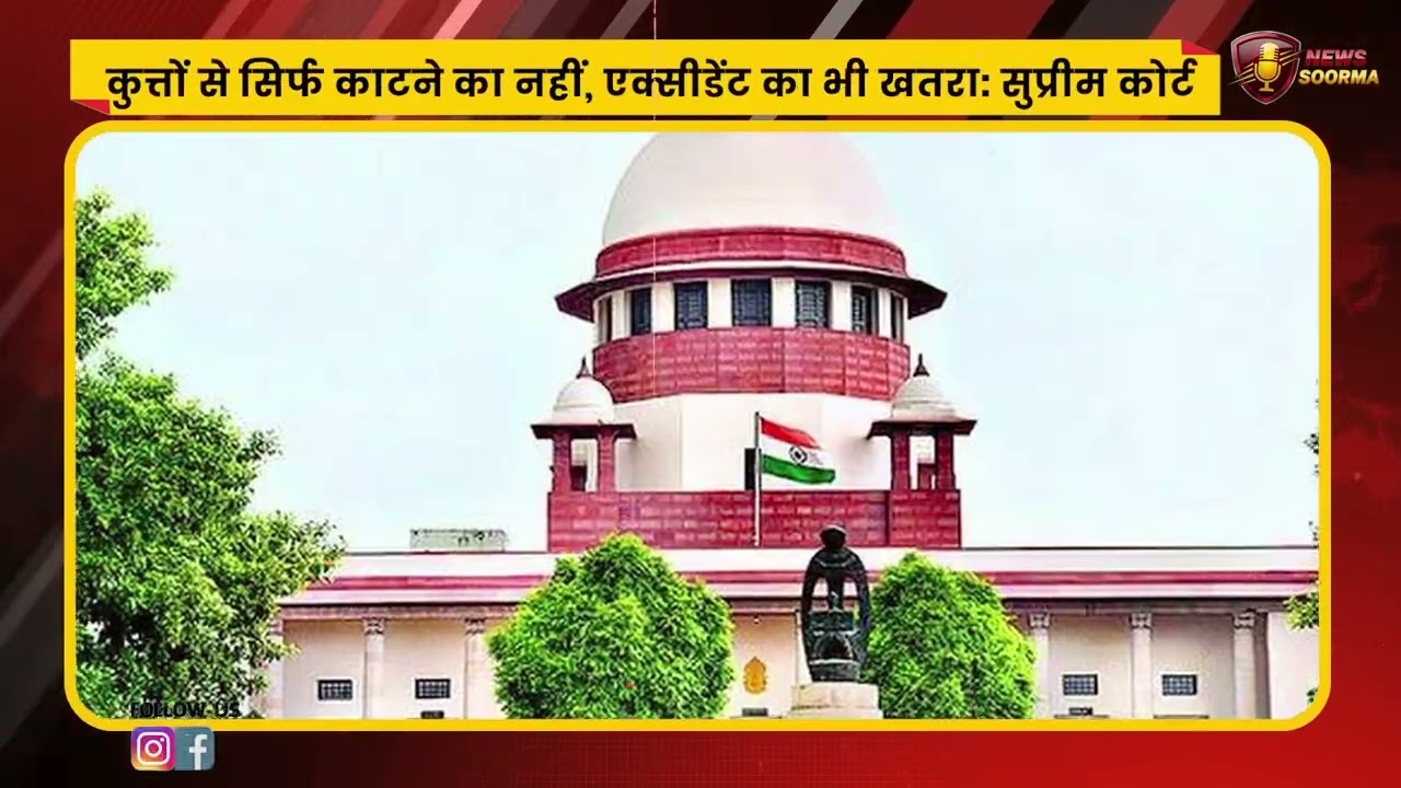 आवारा कुत्तों पर बड़ा फैसला करीब? सुप्रीम कोर्ट की सुनवाई से संकेत