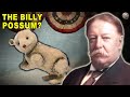 Jealous of the Teddy Bear, How President Taft Tried to Make Billy Possum Happen