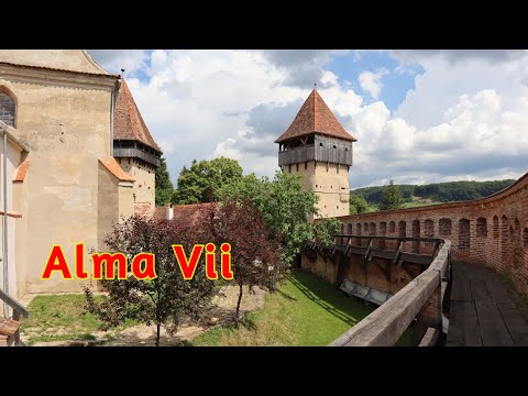 Intorsi in timp in Alma Vii