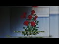 Maula Mere Maula Slowed Reverb Anwar