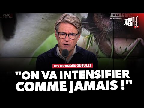 Dermatose, Mercosur... Colère des agriculteurs : "On n'aura pas de limites !"