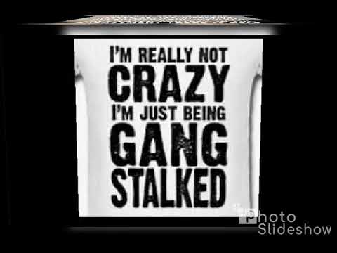 Gang Stalk - Tre'7