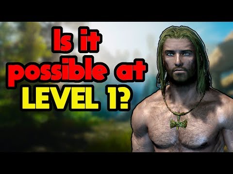 Can You Beat Skyrim as a Level 1?