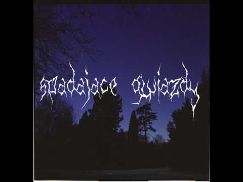 leavite - spadajace gwiazdy(tribute)