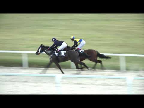 2020.09.06. 05. futam - NÉMETH FERENC EMLÉKKUPA III. FUTAMA HENDIKEP (V.o.) (szintetikus pálya)