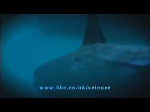 Touhou Game Over theme is perfect for Cliffhanger