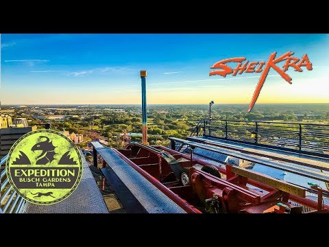 The History Of SheiKra - The First U.S Dive Coaster | Expedition Busch Gardens Tampa