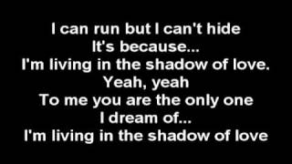 Celine Dion - Shadow Of Love {Lyrics}