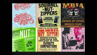 Flight Of The Passing Fancy by Squirrel Nut Zippers