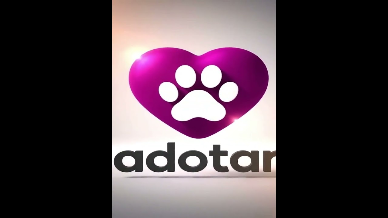 Gato raça SRD-ViraLata idade 3 anos nome Pandora 