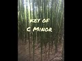 Native American Flute Track