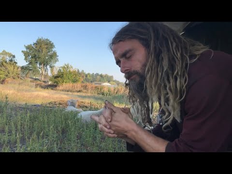 Manualism played with beats!?