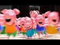 RELEASE THE PIGLETS Sing 2 CLIP