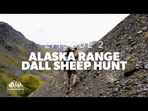 We Found Rams!! - Ep. 2 - Hunting Dall Sheep In Alaska