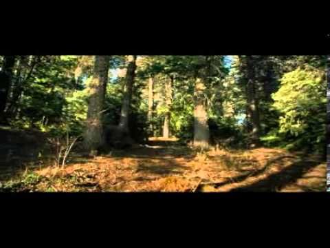 LONE SURVIVOR Trailer deutschgerman