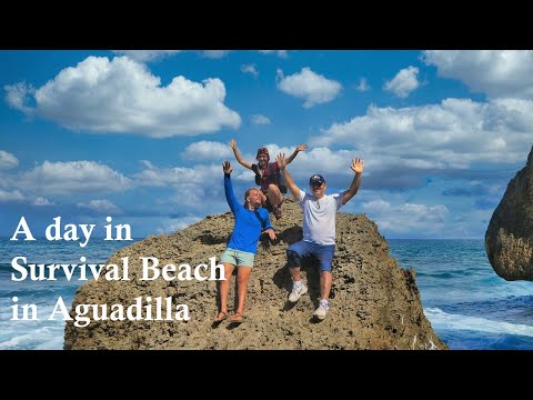 Our Day in Surfers AND Survival Beach! Aguadilla, Puerto Rico