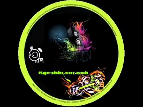 The DSC - Burn Down The System