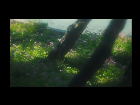 Lazy the Loser - New Hope feat. Zetowski