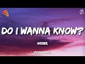 Hozier Do I Wanna Know Lyrics