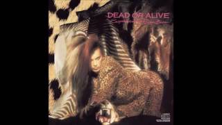 Dead or Alive - Wish You Were Here