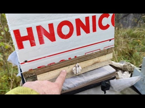 Пчеловодство. Проверка отводков шестирамочников перед зимовкой. Формирования гнёзд. #пчеловодство