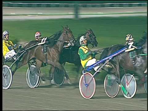 Trotto 02/10/2016 - 8ª corsa