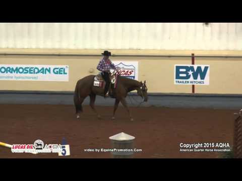 ANYONES INVITED ridden by CHRISTOPHER T RUSSELL  - 2015 AQHA World Show (Prelims - Sr Trail L2)