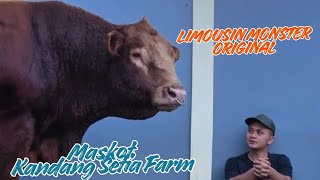 Download lagu Wow❗ Koleksi Terbaru Mas Hermawan Limosin Monster Original Dari Eropa mp3 Download lagu Wow❗ Koleksi Terbaru Mas Hermawan Limosin Monster Original Dari Eropa mp3