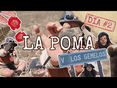 MOCHILIANDO | Día 2 – Volcán "Los Gemelos" (La Poma, Salta) | Trekking por La Poma y por la RN40