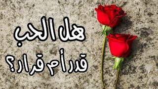 هل الحب قدر أم قرار ؟