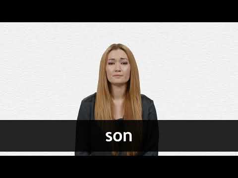 SON definition and meaning | Collins English Dictionary