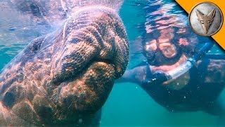 Swimming with Giants!
