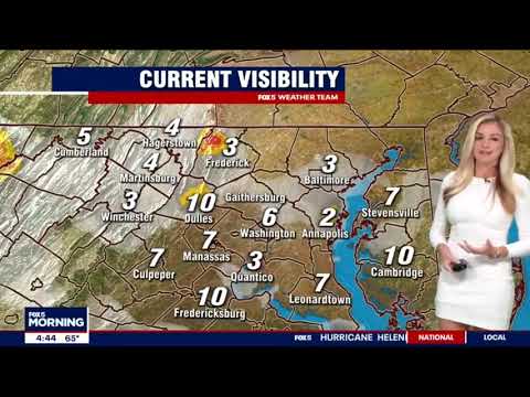 Taylor Grenda Fox 5