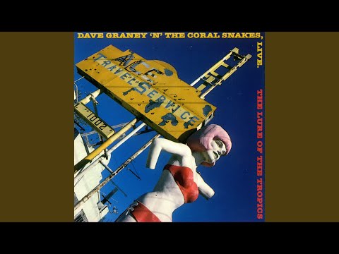 In the Misty Morning