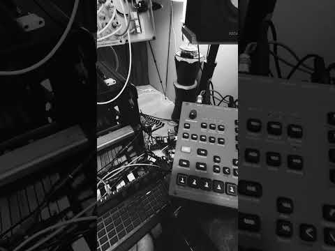 POV: You're Jamming out on a Random*Source Serge System and Octatrack