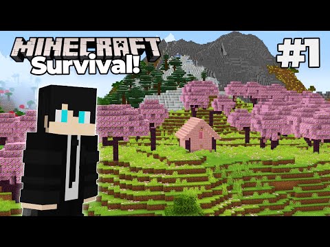 THE BEST START EVER! - Minecraft Survival (Episode 1)