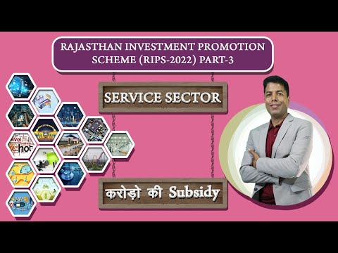 Rips 2022 service sector
