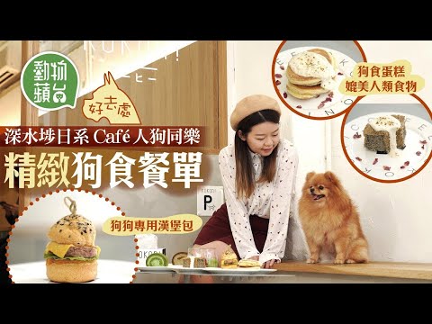 深水埗狗狗日式Cafe 為寵物專設座位及專用水兜 平均消費$100-$150畀狗狗嘆漢堡包＋戚風蛋糕 #動物蘋台－果籽 香港 Apple Daily—原刊日期：20201110