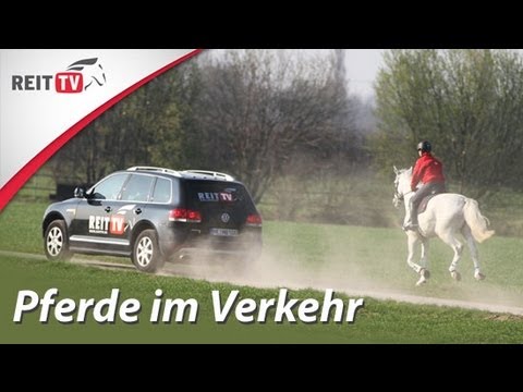 Kerzen mit Propolis von Prostatitis Gegen Der Geruch des Penis mit Prostatitis