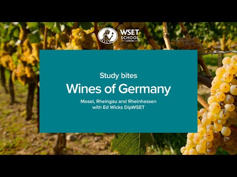 Study bites: wines of Germany (WSET Level 3 wine)