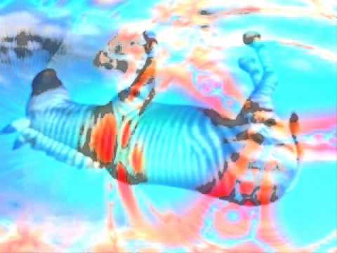 Nantucket Flea Ride (full length version with floating zebra)