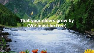 Teach Your Children by Crosby, Stills, Nash &amp; Young - 1970 (with lyrics)