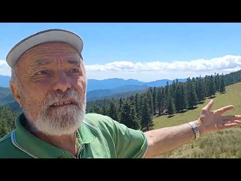 La stâna lui Toc de lângă Cabana Robu Gligoman  din Obștea Moșnenilor Robești  - iulie 2022