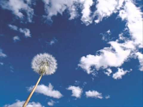 Familia IML - menina dos meus olhos