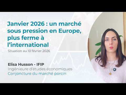 Marché européen du porc sous pression en Janvier et fermeté à l'international