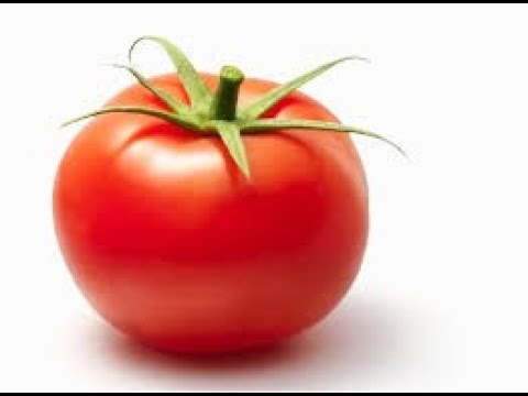 I put spongebob music over Don Tomate